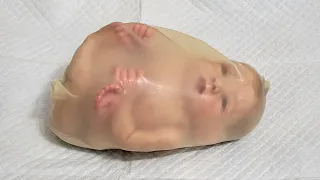 Womb - How Babies Are Born - Birth of Preemie Reborn Baby - nlovewithreborns2011