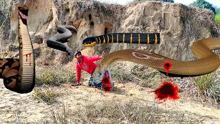 Anaconda Snake in Real Life Video 5 #2024 #anacondasnake