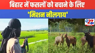 बिहार में फसलों को बचाने के लिए 'मिशन नीलगाय' #tv27newsdigital #video #bihar #mission #viralvideo
