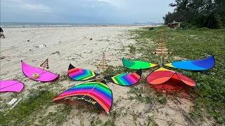 Thả diều sáo giao lưu cùng các nghệ nhân diều sáo Vũng Tàu #patang #kite #layangan #xuhướng #diềusáo