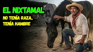 Apostó las tierras de su padre y 20 años de deudas en una sola carrera: EL NIXTAMAL