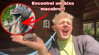 CASA ESTRANHA NA FLORESTA 😨