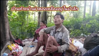 บ้านหัวหน้าเผ่าตองเหลืองอยู่ในป่าลึกมาก