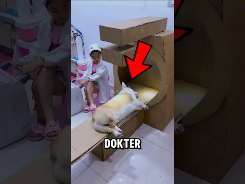 DOKTER CILIK YANG HEBAT⁉️# videoviral #animals