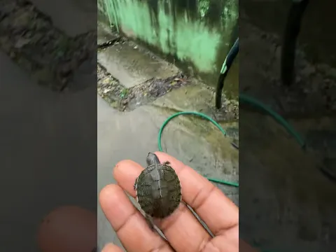 Qué raro salió una hoy