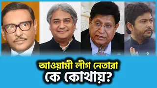 জানুন, আওয়ামী লীগ নেতারা কে কোথায়? | Awami League | Obaidul Quader | Anisul | Nanok | Nixon