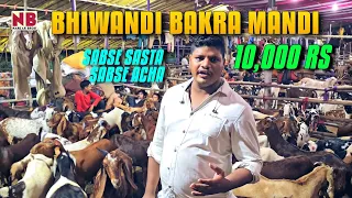 Bhiwandi Bakra Mandi | Sabse Saste Bakre | 10 Hazar Me