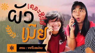 ผัวเมียเดอะซีรี่ย์ ตอน ขอจีบหน่อย