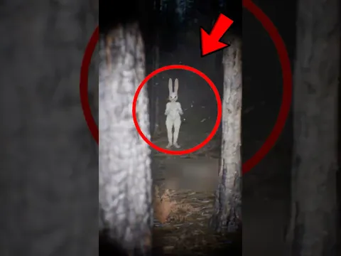 This Rabbit Looks Friendly… Until You Get Too Close! 😱