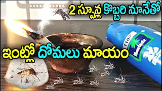 2 స్పూన్ల కొబ్బరి నూనెతో ఇంట్లో దోమలు మాయం || Natural Mosquito repellent || Home remedies in telugu