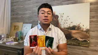 VIENDO LA ENERGÍA PARA LOS SOLTEROS! (SIGNO POR SIGNO)