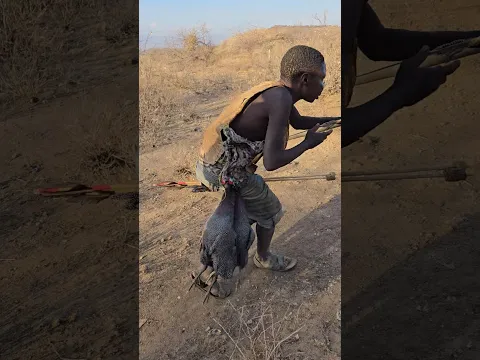 chaabaa the great Hunter today in the bush #reels #shorts #video #trending #chaabaa #dudukwe