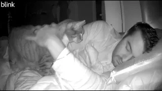 Minnie gets upset when I go to bed without her
