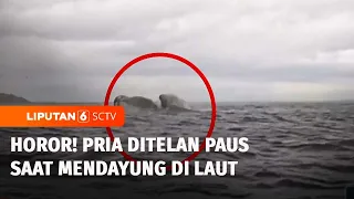 Horor! Ayah Rekam Detik-Detik Anaknya Ditelan Paus di Laut | Liputan 6