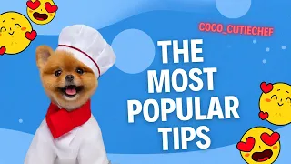 Coco’s life hacks collection😎😎😍
