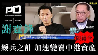 謝霆鋒緩兵之計  加速變賣中港資產