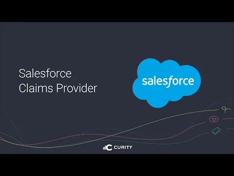 Salesforce Claims Provider