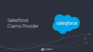 Salesforce Claims Provider