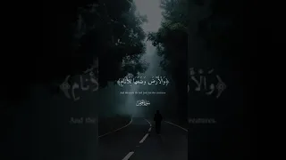 ماهر المعيقلي تلاوة خاشعة سورة الرحمن 🌾حالات واتس اب قرآن كريم #ماهر_المعيقلي