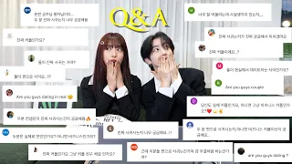 10만 기념 Q&A !!! 속시원하게 다 대답해드립니다 !!!