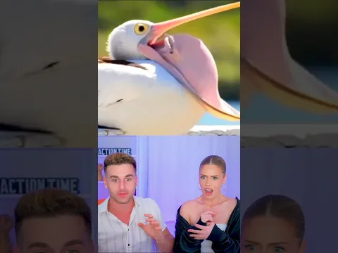 Cute Animal Yawns Revealed Portal To Hell