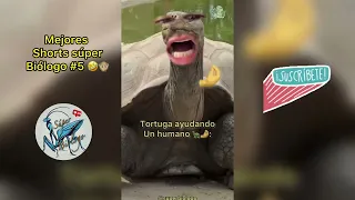 Mejores Shorts del Súper Biólogo #5 🤣🙊🗿