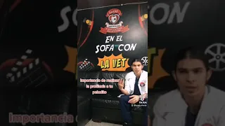 29 de noviembre de 2022