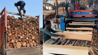 This is how Plywood is made in India || Manufacturing