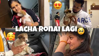 New Year Par Coco Apne Ghar chala gaya❤️
