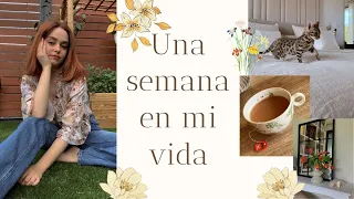 1 semana conmigo | supermercado en ASMR, trabajo, recetas y rutinas