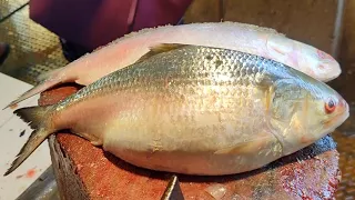 Delicious World Famous Hilsa (ilish) Fish Cutting And Cleaning Skills In Bangladesh