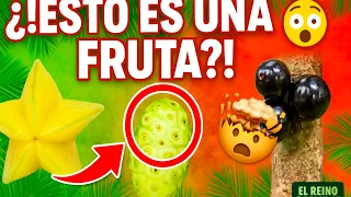 12 Frutas Tan Extrañas Que Parecen Sacados Del Reino Animal
