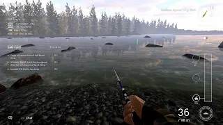 FISHING  PLANT