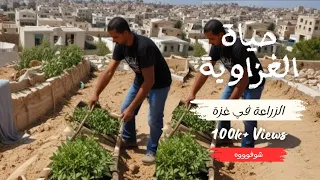 كيف عايشين في شمال غزة !! شاهد كيف زرعنا سطح منزلنا أثناء المجاعة في شمال غزة