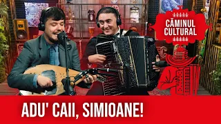 Adu' caii, Simioane! BOGDAN SIMION & MARIAN MEXICANU (live)