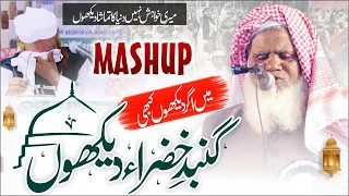 میری خواہش نہیں دنیا کا تماشا دیکھوں | नबीना नात का ज़बरदस्त अंदाज़ | Blind Qari Ahsan Mohsin Qasmi