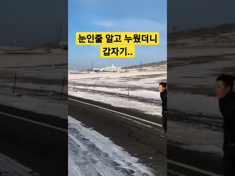 눈인줄 알고 누웠더니.. 갑자기.. #shorts