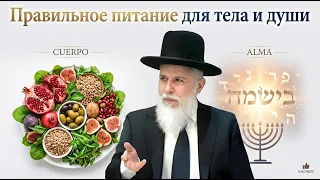 Правильное питание для тела и души - совсем не то, что вы думаете (AI)