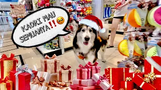 HUNTING KADO NATAL BUAT KAORI‼️ TOTALNYA BERAPA⁉️