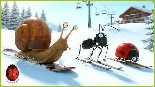 Snow Carrot | Minuscule | 20' Compilation