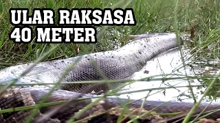 383 - Grade A! Ada Ular Raksasa Diperut Bumi
