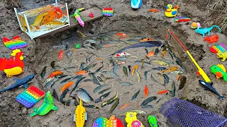 Mancing banyak ikan hias di sungai kecil, ikan koi, ikan lele, ikan cupang, kura kura, angsa.part348