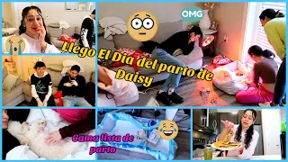 EL PARTO DE MI PERRITA CUANTOS TUVO 🙀🙈🐶  QUIEN FUE LA PARTERA 🙀🐩👩‍⚕️😂👍