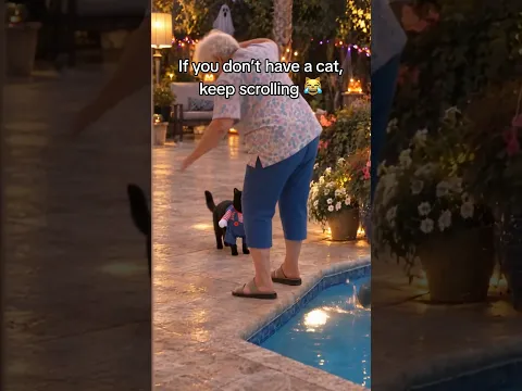 A cat and the Purrfect Slasher accessory
