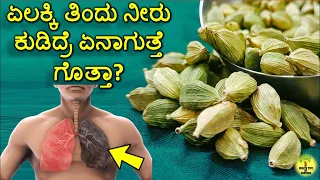 ಏಲಕ್ಕಿ ತಿಂದು ನೀರು ಕುಡಿದ್ರೆ ಏನಾಗುತ್ತೆ ಗೊತ್ತಾ? Health Benefits of Cardamom in kannada