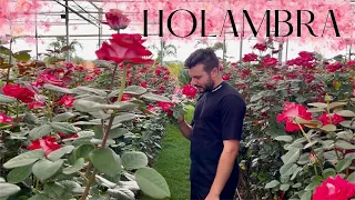 VEM CONHECER A CIDADE DAS FLORES - Eduardo Wizard