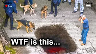 Cadaver Dogs Refuse To Leave This Spot, Until Police Found This