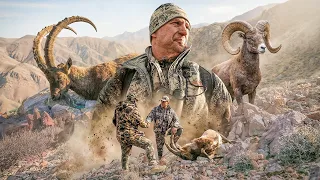 Трофейная охота в Иране 3 ☪️ Персидский козерог и Исфаханский муфлон! #охота