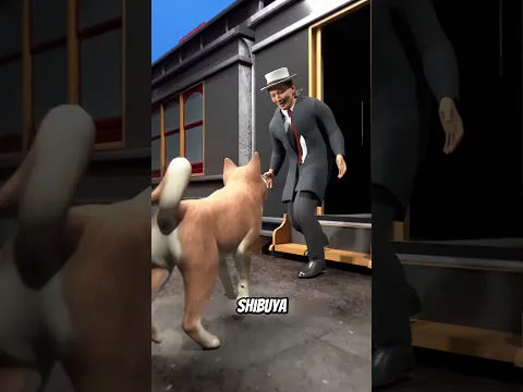 Ces chiens ont attendu leurs maîtres pendant des années — le dernier n’a jamais abandonné 😨