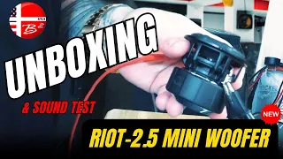 B2 Audio RIOT 2.5 | Small Woofer, BIG Sound Unboxing & Sound Test!